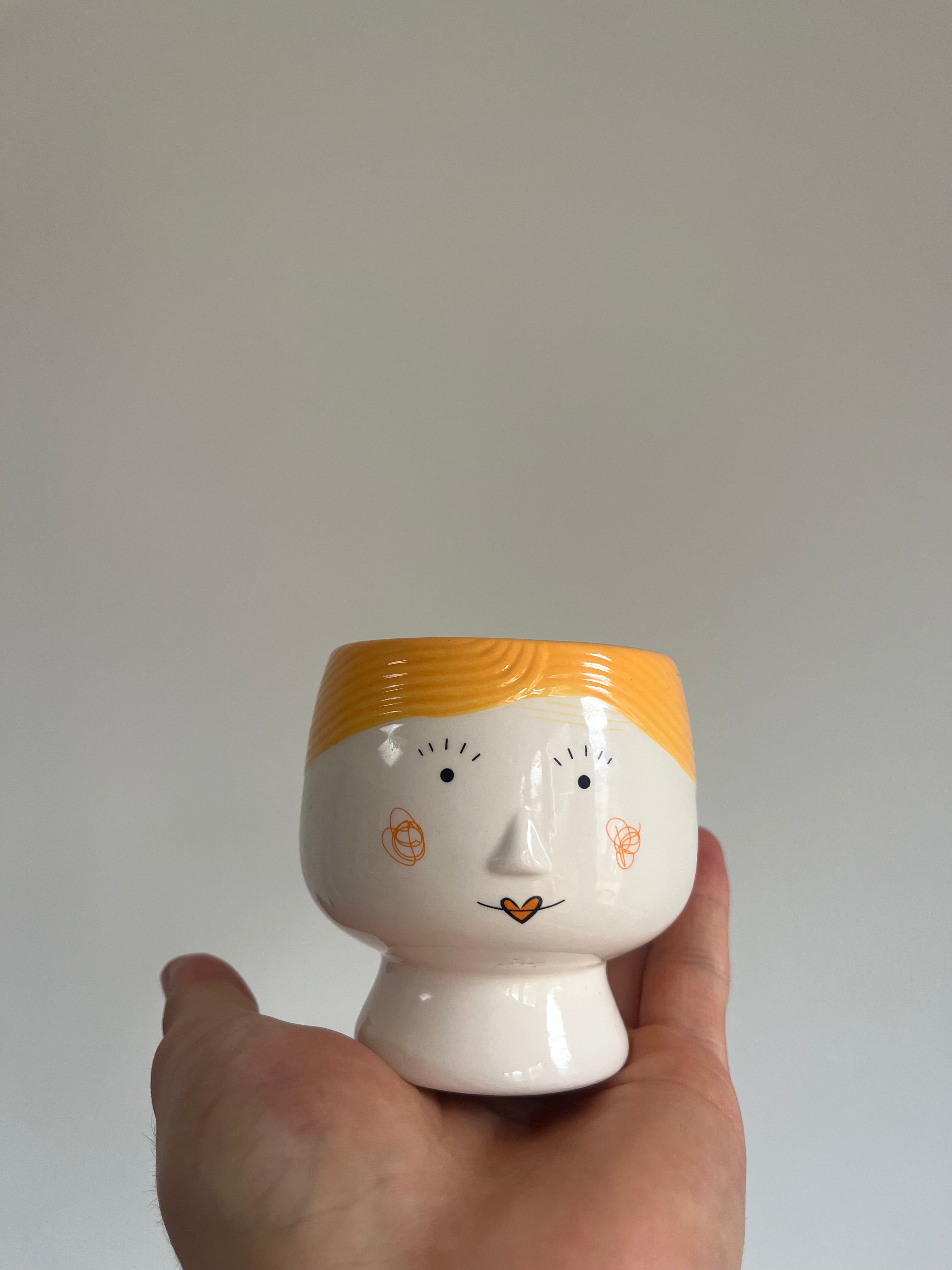 Magnetic fridge plant pot