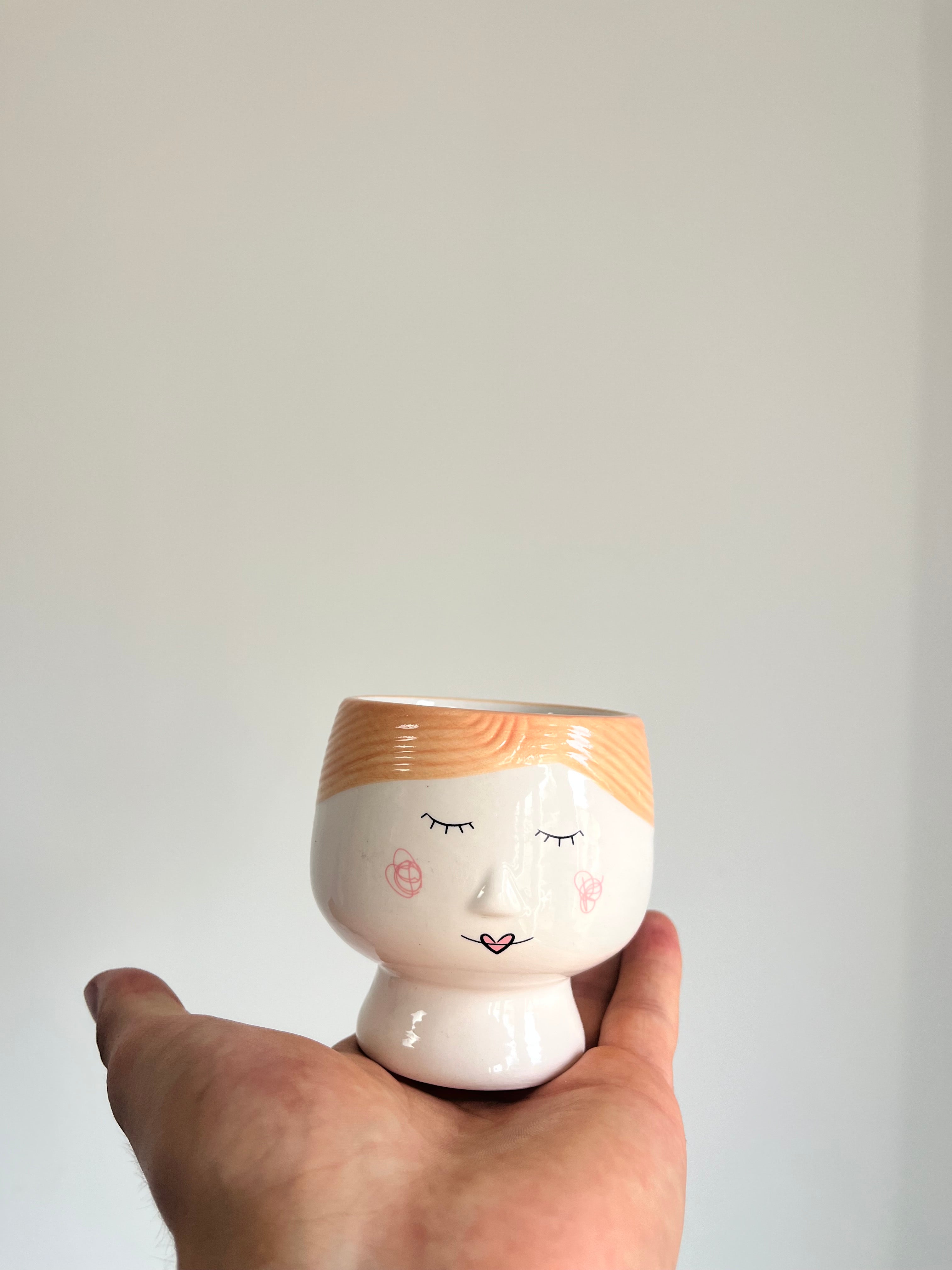 Magnetic fridge plant pot